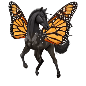 reitpferd argentinischer criollo rotbrauner