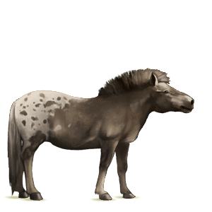 einhorn-pony deutsches reitpony mausgrau