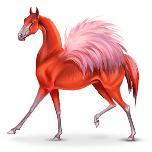 nomadenpferd vogel phoenico