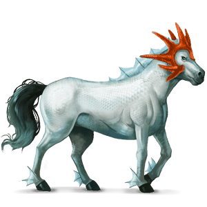 reitpferd marwari fuchs