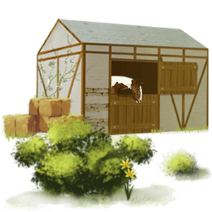 pony haflinger palomino