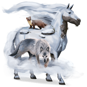 pony deutsches reitpony fuchs