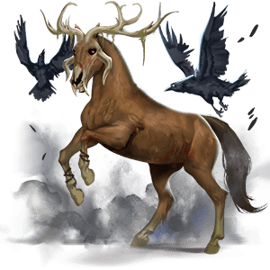 einhorn-reitpferd curly horse brauner