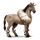kaltblut drum horse mausgrau