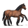 sleipnir braun