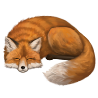 compagnon-renard-off_v1713961017.png