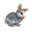 compagnonlapin