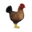 compagnon-poule_v1549988559.png