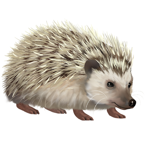 compagnon-herisson.png