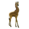 compagnon-girafe_v1713961018.png
