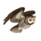 compagnon-hibou_v1713961018.png