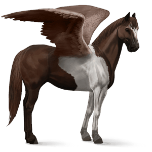 pegasus-reitpferd paint horse dunkelfuchs mit tobiano-scheckung