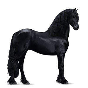 https://www.howrse.de/media/equideo/image/chevaux/local/100153/normal.png