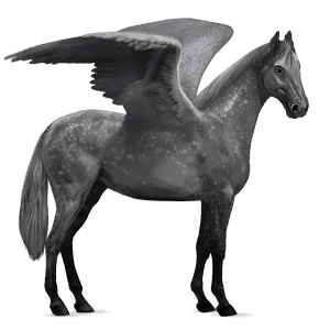 pegasus-reitpferd hannoveraner apfelschimmel