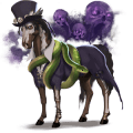 nomadenpferd baron samstag
