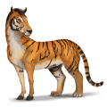 wildpferd tiger