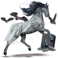 reitpferd appaloosa braune schneeflocke