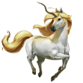 falacorne-4.png