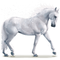 wasserpferd flocke
