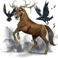 nomadenpferd wendigo