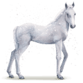 wasserpferd flocke