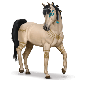 spezielles pferd amira