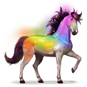 pferd des regenbogens secret rainbow