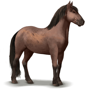 wildpferd banker horse