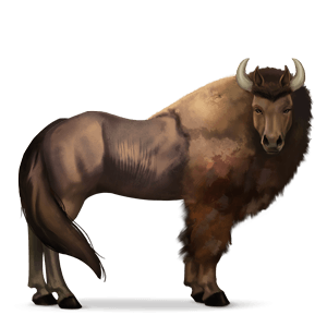 wildpferd bison