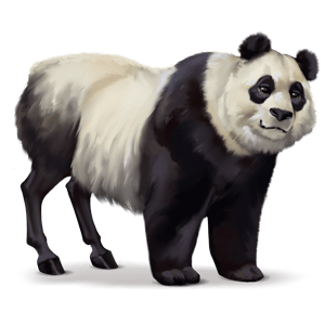wildpferd panda