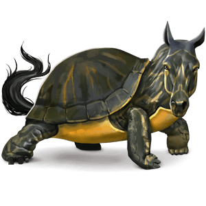 wildpferd schildkröte