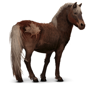 wildpferd sable island pony