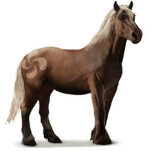 wildpferd pottok-pony