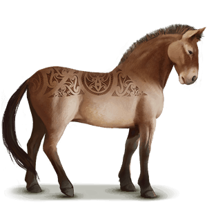 wildpferd przewalski-pferd