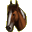 nomadenpferde