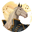 bonuscwhitemcoatcheforchestre