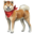 compagnon-akita-inu.png