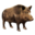 Wildschwein