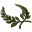 daphnea-laurels.png?w12la4zfo9