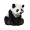 compagnon-panda.png